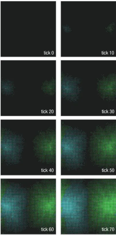 Figura 2. Occupazione dello spazio nelle prime fasi del modello sgW. Il modello parte al tick 0 con  una popolazione di due esemplari appartenenti alle specie vegetali P0 e P1