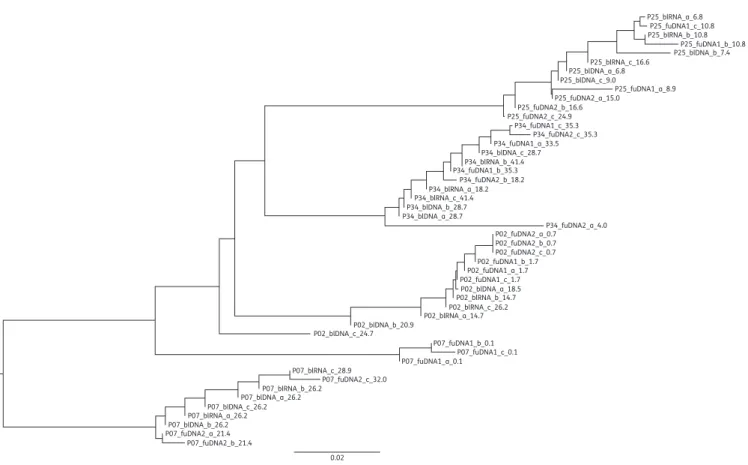 Figure 2. Phylogenetic tree showing the relationships among the sequences obtained from the four patients showing coreceptor tropism switch during the study