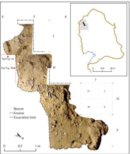 Fig. 3. Accurate photomap of the investigated surface of the living floor 150A and location of the  excavation grid into the cave.