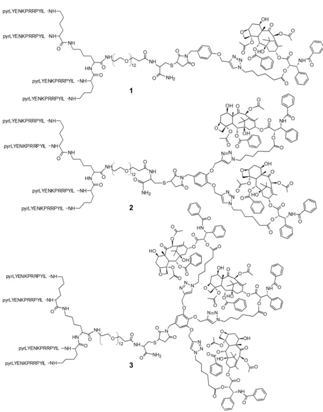 Figure 1. Structures of NT4-mono PTX (1), NT4-bis PTX (2), and NT4-tris PTX (3). 2.3. Cytotoxicity Assay