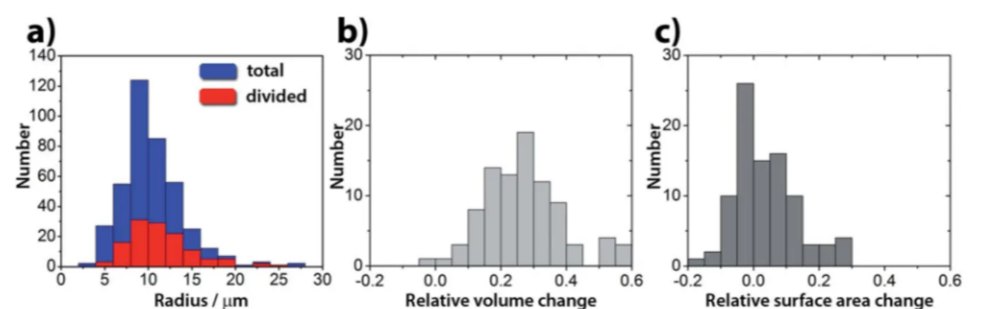 Fig. 3 (a) Size distribution of GUVs used in the experiments (blue) and the frequency histogram of the divisions (red)