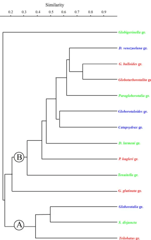 Figure 2.  R-mode cluster dendrogram. The two clusters are indicated by letters A and B