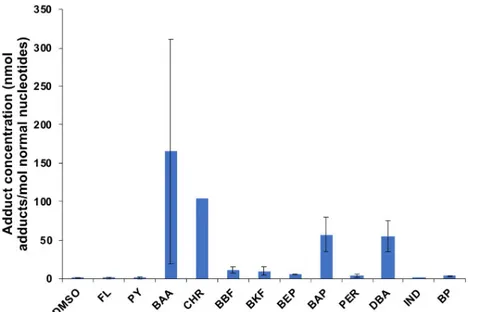 Fig 2. DNA adducts in the liver of fish injected with heavy PAH (4/5/6 rings) (2 replicates of each compound, except chrysene (CHR), where one of the replicates died (n = 1))