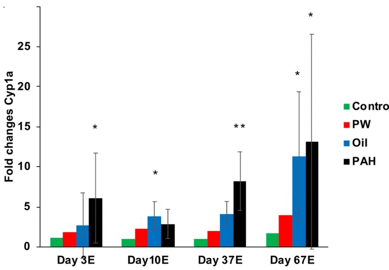 Fig 8. Gene expression of cyp1a in liver after 3 day (one dose), 10 days, 37 days and 67 days of oral exposure