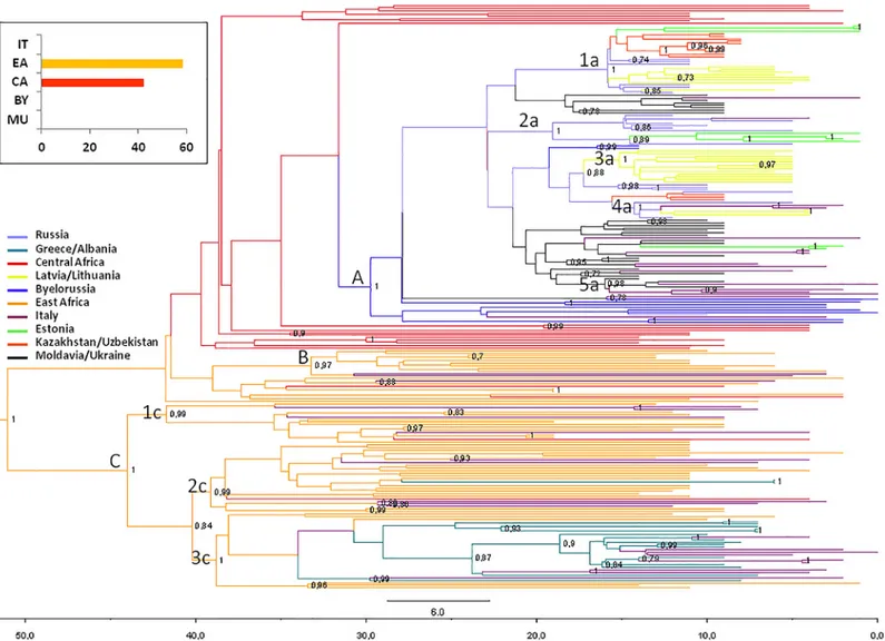 Fig 2. Bayesian phylogeographical tree of 229 HIV-1 A pol sequences with branches colored on the basis of the most probable location of the descendent nodes