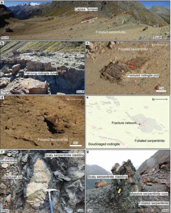 Figure 8. Shear zone structures at Serpentine Saddle. Location of the images shown on the map in Fig