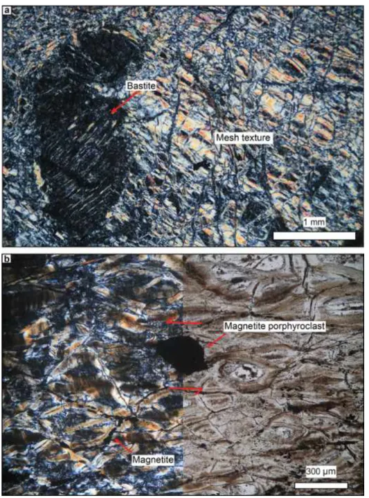 Figure 9. Serpentinite textures in pods and massive serpentinite domains. (a) Mesh-textured and bastite serpentinite from the centre of a serpentinite pod (location in Fig