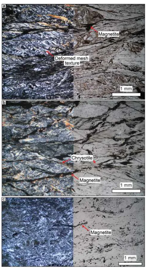 Figure 10. Evolution of serpentinite texture and mineralogy in scaly shear zone serpentinites