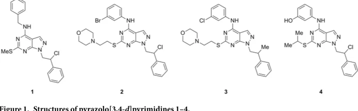 Figure 1.  Structures of pyrazolo[3,4-d]pyrimidines 1–4. 