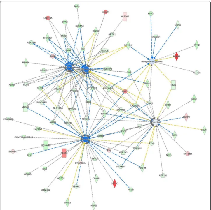 Fig. 7 Ingenuity pathway analysis (IPA). IPA of the significantly up- and downregulated proteins (after Bonferroni correction) for faeces from aged donors transplanted in adult mice versus faeces from adult donors transplanted in adult age-matched mice, in