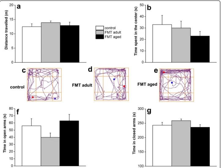 Fig. 6 Effect of FMT from adult and old mice on locomotor and explorative activity and anxiety-related behaviour