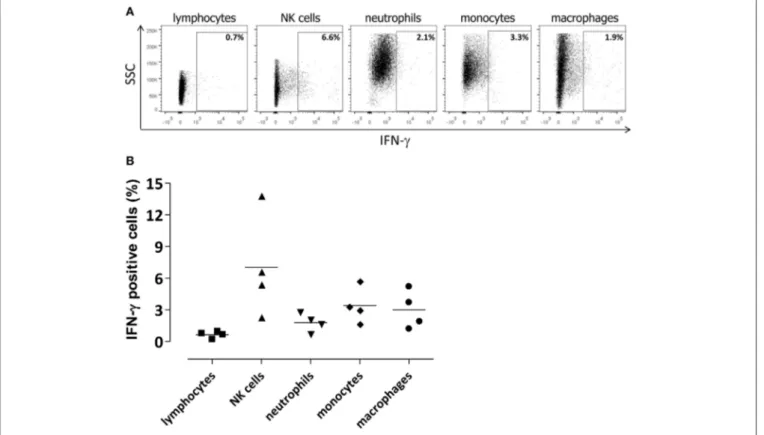 FIGURE 4 | Cellular source of IFN-γ in the infected brain. Lymphocytes (CD45 hi CD3 + ), NKs (CD45 hi CD3 − NKp46 + ), neutrophils (CD45 hi CD11b hi Ly6G + ),