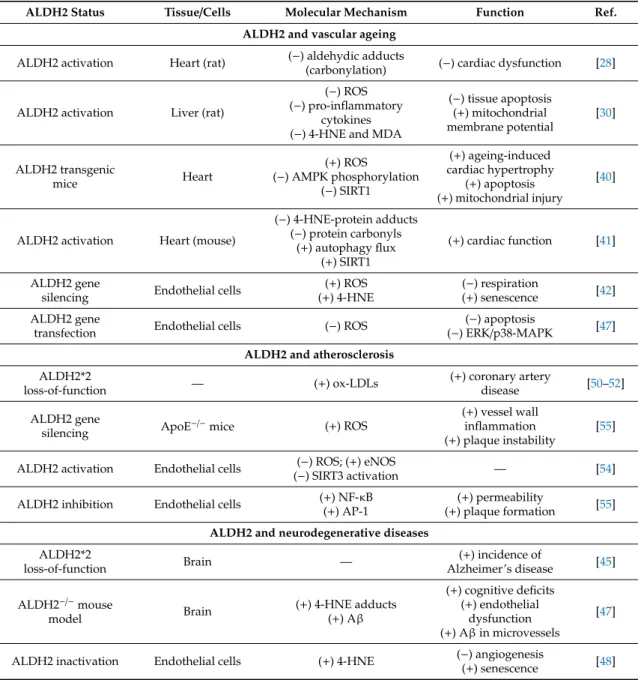 Table 1. Summary of main findings of ALDH2 and ageing, atherosclerosis or neurodegenerative diseases.