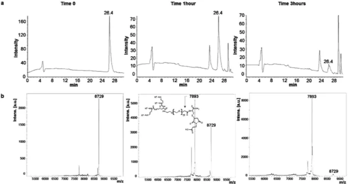 Figure 3.  Paclitaxel release. HPLC (a) and MS (b) profiles of NT4-PTX incubated with 3% serum at  different times: 5 min, 1 hour and 3 hours