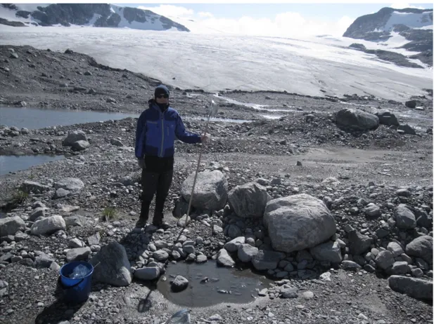 Figure 4. This picture from the foreland of Hardangerjøkulen glacier in southern Norway illustrates  that pioneer ground may contain a variety of habitats