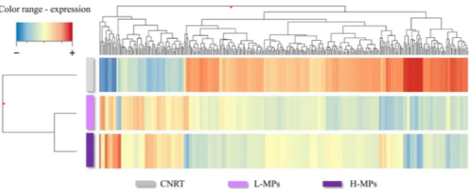 Figure 1.  Hierarchical cluster of the differentially expressed genes across treatments