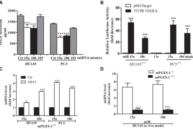 Figure 4: mPGES-1 down-regulates miR-15a and miR-186 upstream of VEGF expression.  (A) ELISA for VEGF in DU145  and PC3 mPGES-1 +/+  cells (1% FBS, 48 h) transfected with miR-15a, miR-186 or miR-103 mimics (50 nM)