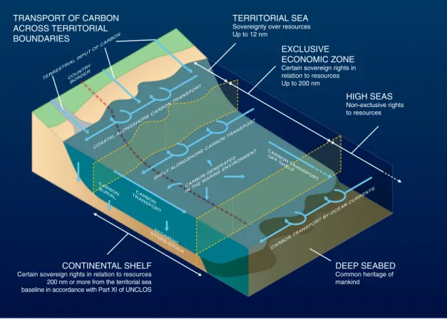Fig. 1 Transport of carbon across territorial boundaries. Input, production, transport and storage pathway of carbon in marine waters, including movement across maritime zones of national jurisdiction: territorial sea, Exclusive Economic Zone (EEZ), contin