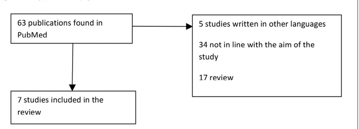 Fig. 1. Flow diagram for identifying studies included in our review.