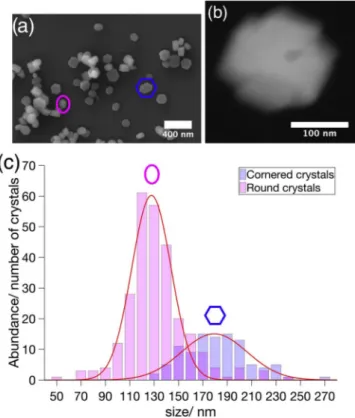 Fig.  1. Morphological  heterogeneity  between  particles.  (a)  SEM  micro- micro-graph  of  the  heterogeneous  ZSM-5  batch  with  the  ‘Round’  crystal  type  (magenta) and the ‘Cornered’ crystal type (blue)