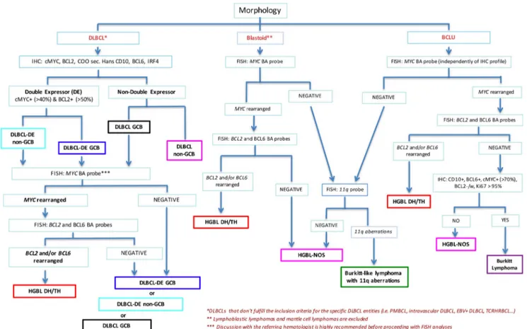 Fig. 3 Diagnostic workflow for the diagnosis of aggressive mature B cell lymphomas . The workflow applies to DLBCLs that don ’t fulfill the inclusion criteria for the specific DLBCL entities (i.e