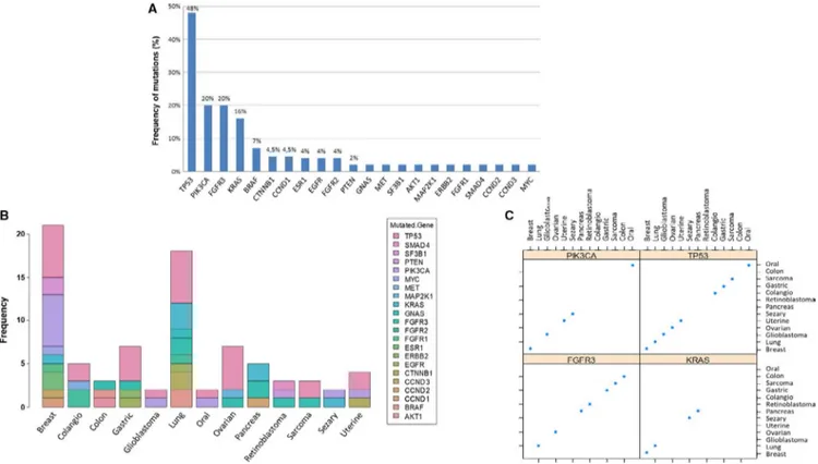 FIGURE 4  Distribution of the main alterations in mutated patients among the 68 included in the study