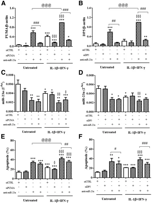 Fig. 7G), whereas no modiﬁcation in Mcl-1 and BCL-XL was observed (data not shown). This supports the concept that individual genes can be regulated by different miRNAs and that several miRNAs can participate in the regulation of key genes (13), such as th