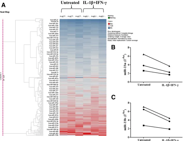 Figure 1 —miRNA proﬁle of human islets exposed or not to proinﬂammatory cytokines. Human islets (A–C) were left untreated or treated with IL-1b plus IFN-g for 48 h