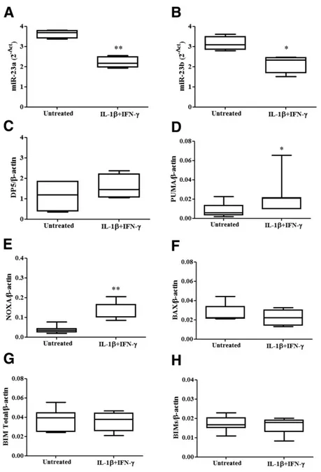 Figure 2 —Cytokines coregulate the expression of miR-23a-3p, miR-23b-3p, NOXA, and PUMA in human pancreatic islets