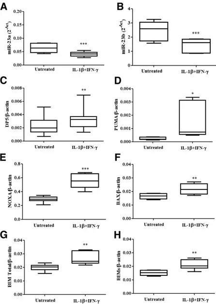 Figure 3 —Cytokines coregulate miR-23a-3p, miR-23b-3p, and proapoptotic Bcl-2 family members in human EndoC-bH1 cells