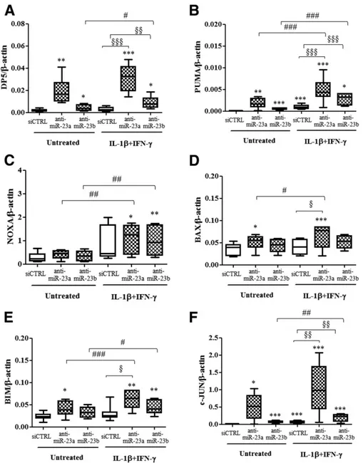 Figure 6 —Inhibition of miR-23a-3p and miR-23b-3p increases expression of proapoptotic Bcl-2 family members in human EndoC-bH1 cells