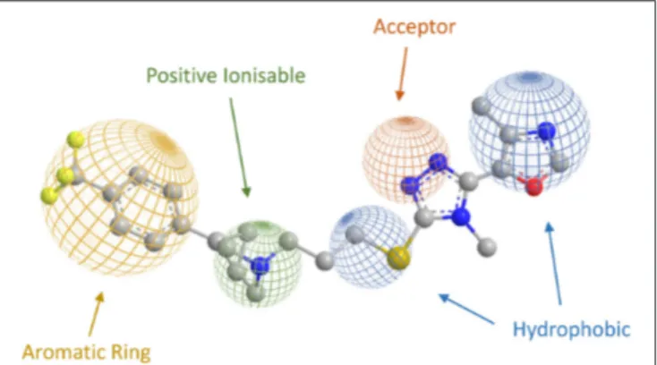 Figure 9) as flexible ligands for specific occupancy of D3, 5-