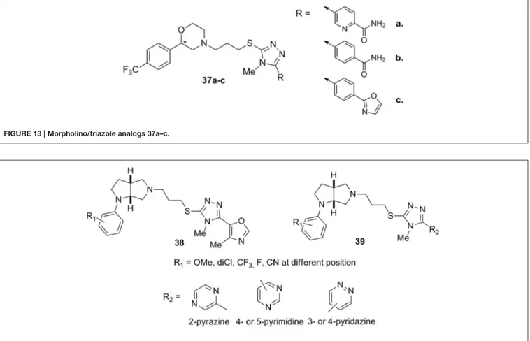 FIGURE 13 | Morpholino/triazole analogs 37a–c.