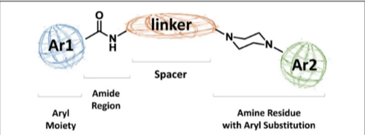 FIGURE 2 | Pharmacophore model for D3 selective ligands.