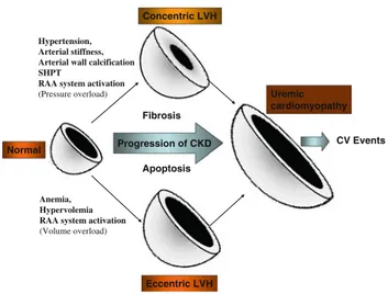 Fig. 1 Relationship between the changes in arterial wall, blood