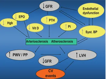 Fig. 4 Effects of hemodynamic and non-hemodynamic factors on the pathogenesis of LVH and the impairment of renal function in CKD patients