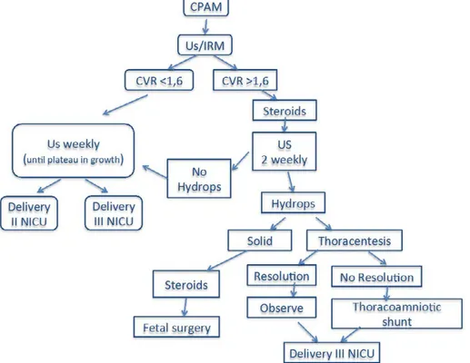 Figure 1. Management for prenatally diagnosed CPAMs.