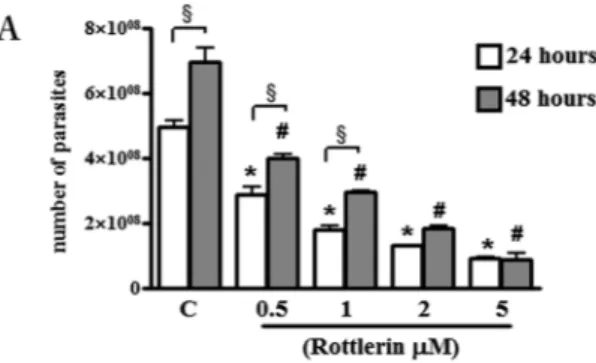 Figure 2.  Effect of Rottlerin treatment on T. gondii proliferation. BeWo cells were infected with T
