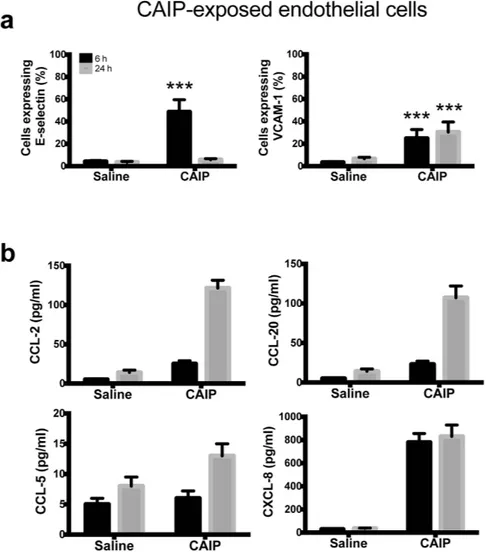 Figure 5.  CAIP induces expression of adhesion molecules and chemokines in endothelial cells