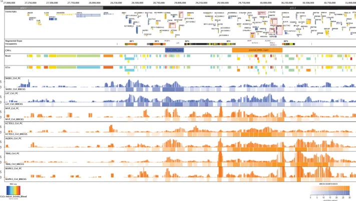 Figure 1. The 16p11.2 region and its 4C interactions proﬁle (panels from top to bottom)