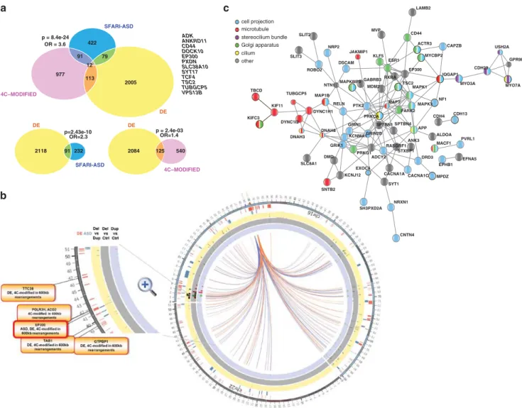 Figure 4. Extensive overlap between differentially expressed genes and loci that show modiﬁed chromatin interactions