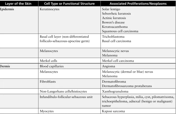 TABLE 1. Skin lesions or tumors with their original cell types of the different skin layers  (focused only on skin lesions detectable by dermoscopy)