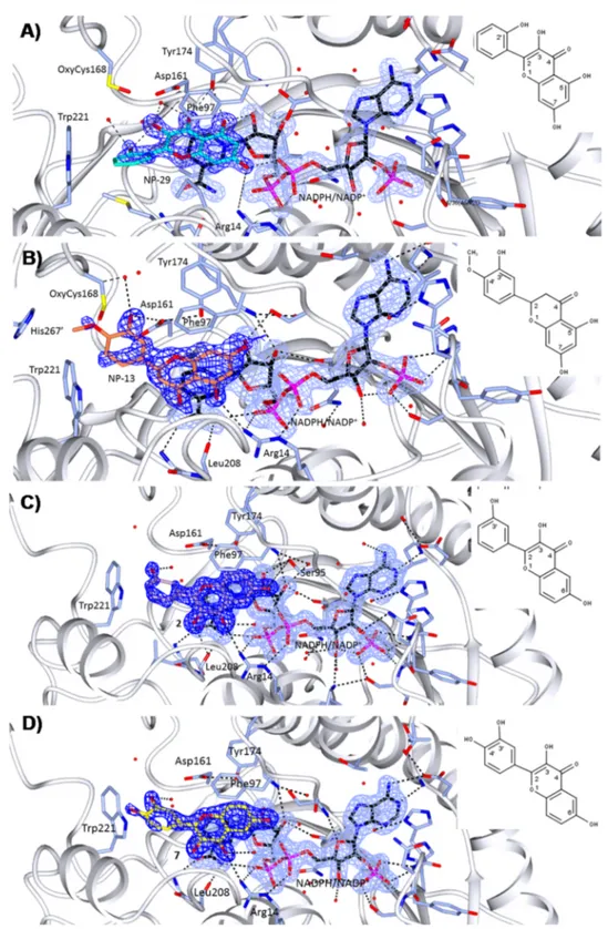 Figure 2. Crystal structures of TbPTR1 (gray cartoon, interacting residues in sticks) in complex with NADPH/NADP + (in sticks, black carbon atoms) and four inhibitors (in sticks) (A) NP-29 (cyan), (B) NP-13 (orange), (C) compound 2 (lilac), and (D) compoun