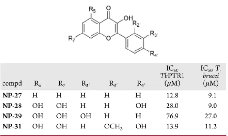 Figure 3. Design of the synthetic library (left). NP-13 (in yellow) into TbPTR1 (in gray)