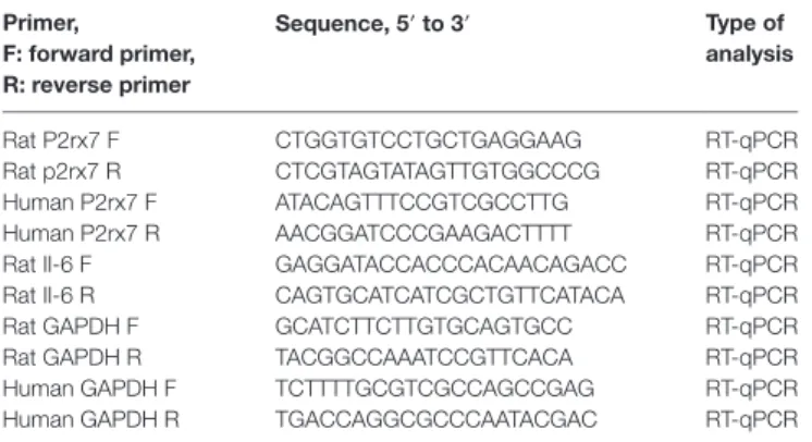 Table 1 | List of primer sequences used in this study. Primer,   F: forward primer,  r: reverse primer sequence, 5′ to 3′ Type of  analysis Rat P2rx7 F CTGGTGTCCTGCTGAGGAAG RT-qPCR Rat p2rx7 R CTCGTAGTATAGTTGTGGCCCG RT-qPCR Human P2rx7 F ATACAGTTTCCGTCGCCT