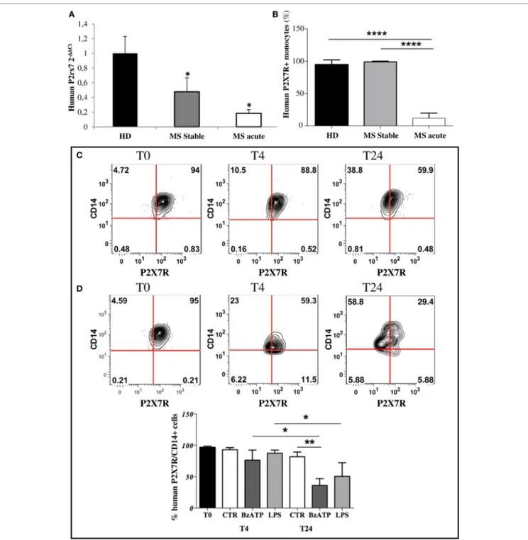 FigUre 1 | P2X7 receptor (P2X7R) is down-regulated on circulating multiple sclerosis (MS) monocytes and on healthy donors (HD) monocytes after in vitro induced 