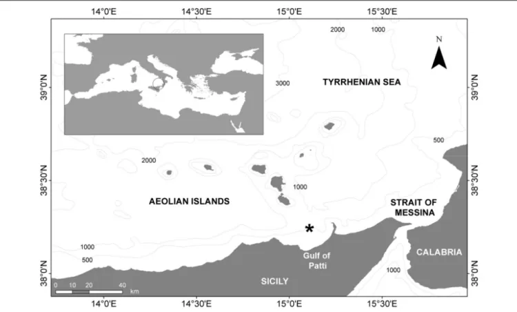 FIGURE 1 | Map of the study area in the western Mediterranean Sea (southern Tyrrhenian Sea), showing the sampling location (*).