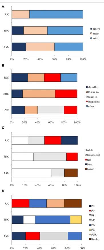 FIGURE 4 | Classification by size, shape, color and polymer type of plastics detected (n = 15) in demersal elasmobranchs (Scyliorhinus canicula = SYC, n = 5; Galeus melastomus = SHO, n = 6; Raja clavata = RJC; n = 4)