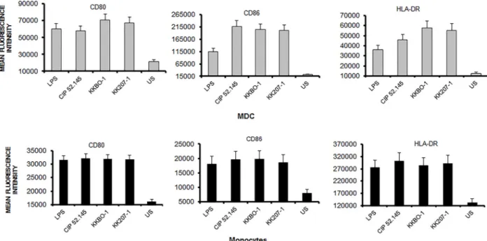 Fig 6 panel B shows that IL-23 gene was significantly more expressed in MDC cultured with KKBO-1 compared to KK207-1 or CIP 52.145