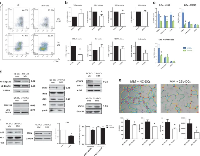 Figure 3. (a) Representative ﬂow cytometry analysis of CD86 and CD83 expression on DCs after miR-29b transient transfection and 48 h co- co-culture with U266 cell lines or with maturation stimuli (lipopolysaccharide)